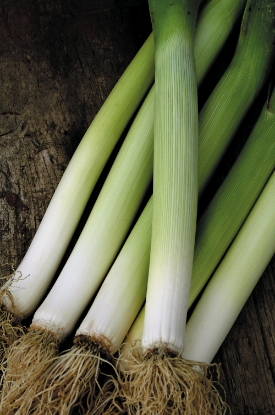 Picture of Organic Leek Bandit